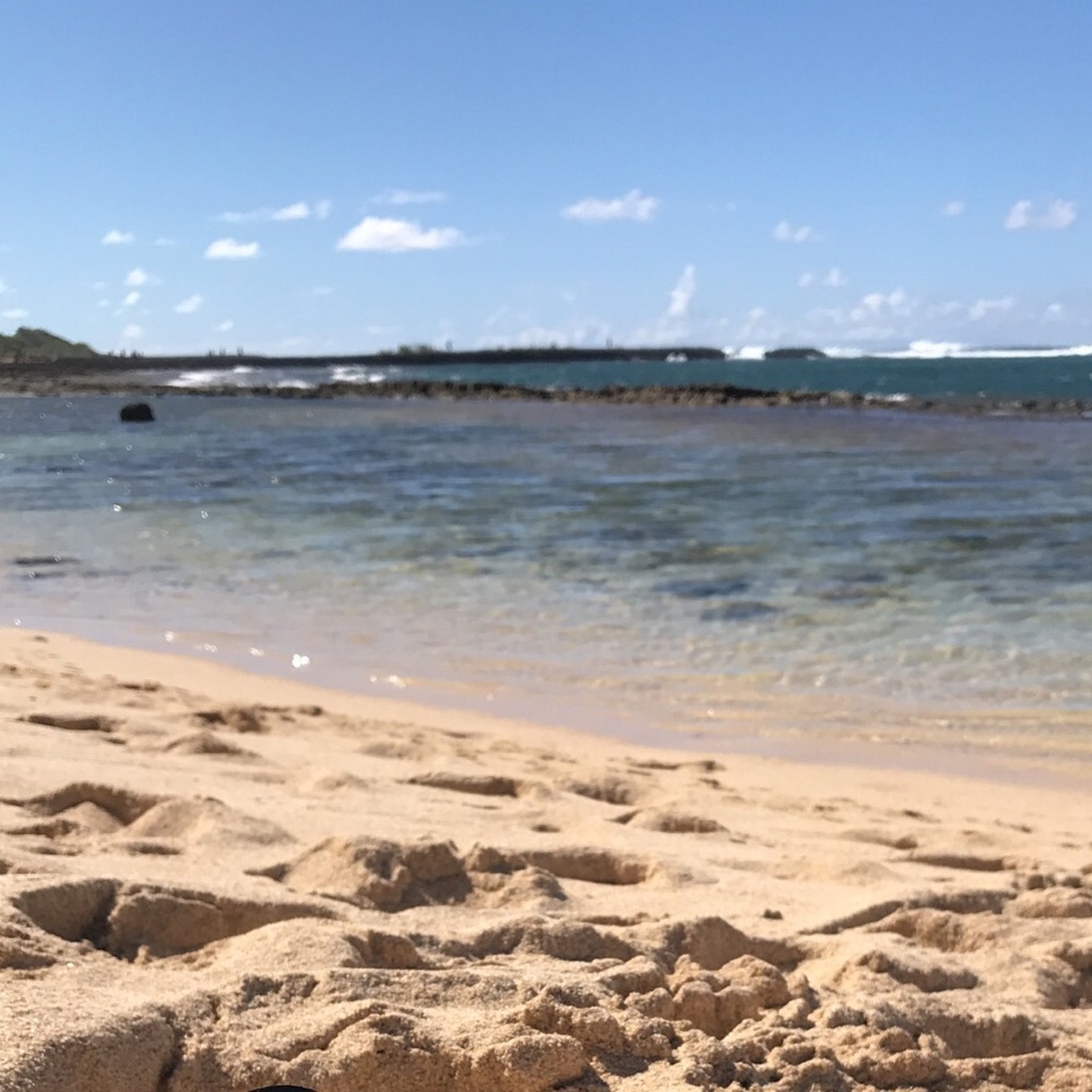 Meet your Posher, Sho P